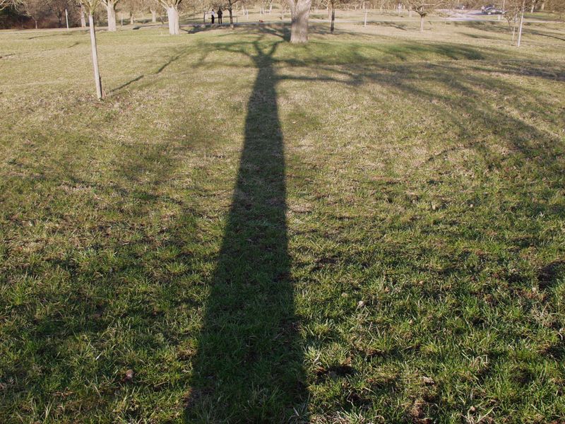 P3160058