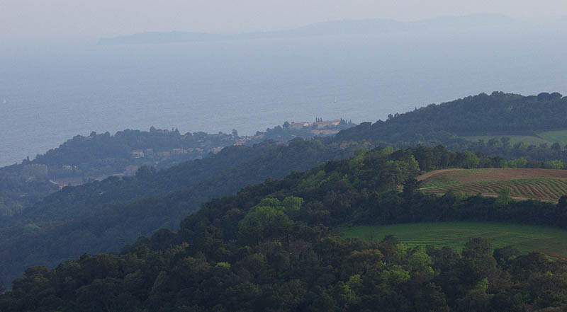 P4140767.jpg