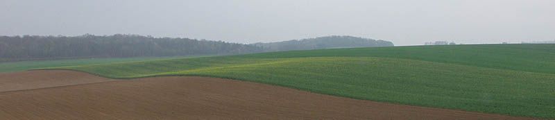 P4171038.jpg