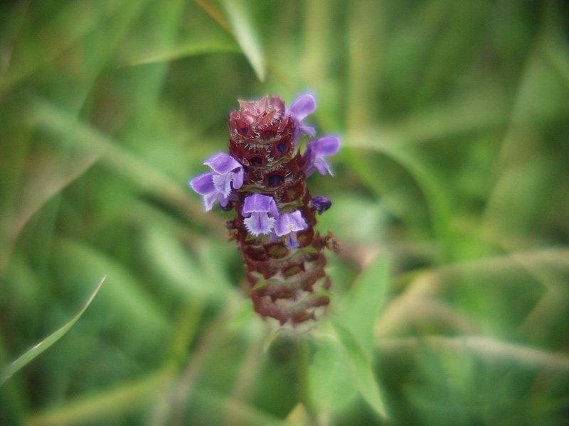 P7104537