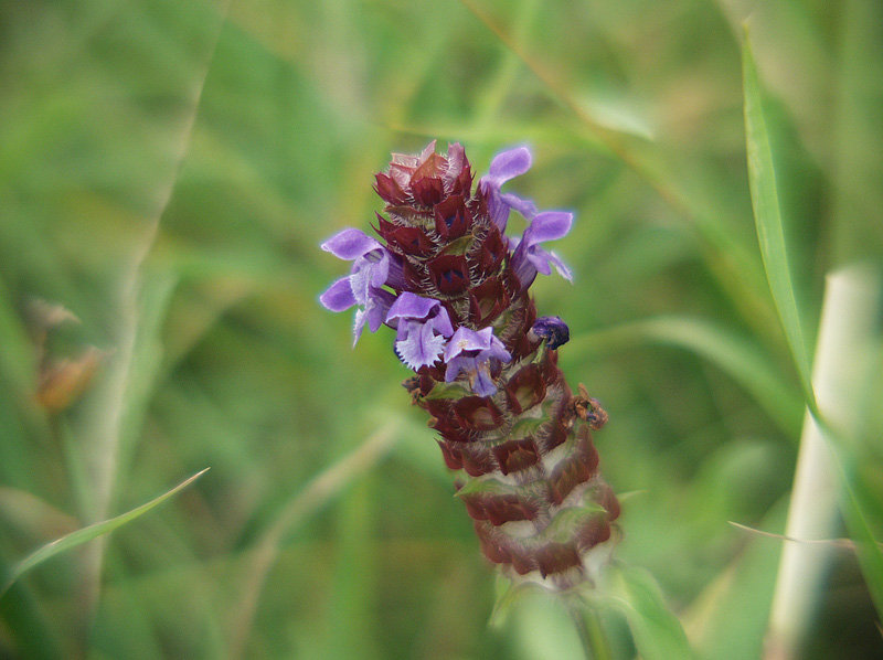 P7104538
