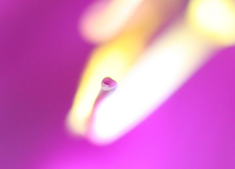 IMG_8777