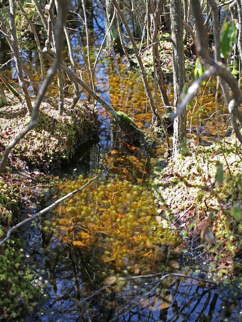 IMG_3161