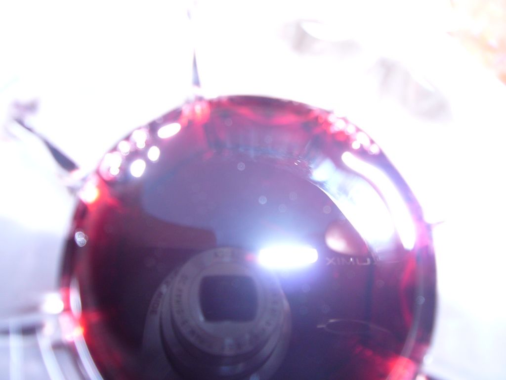 P1030491.JPG