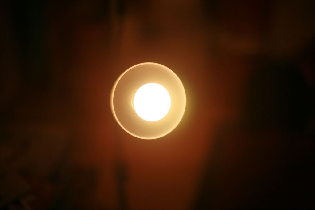 IMG_4278