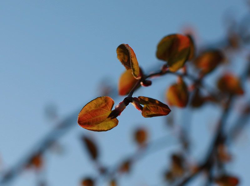 IMG_8756