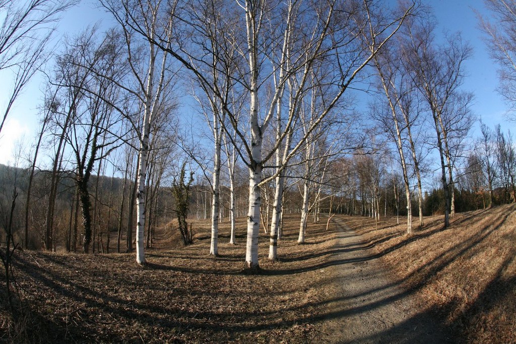 IMG_7273.JPG