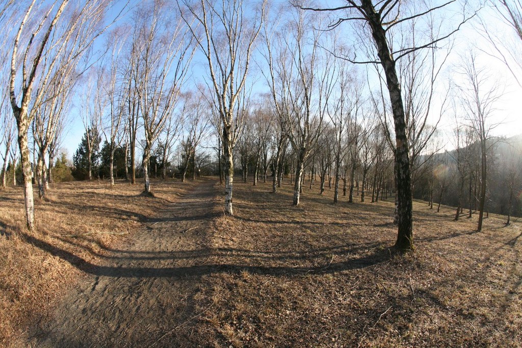 IMG_7334.JPG