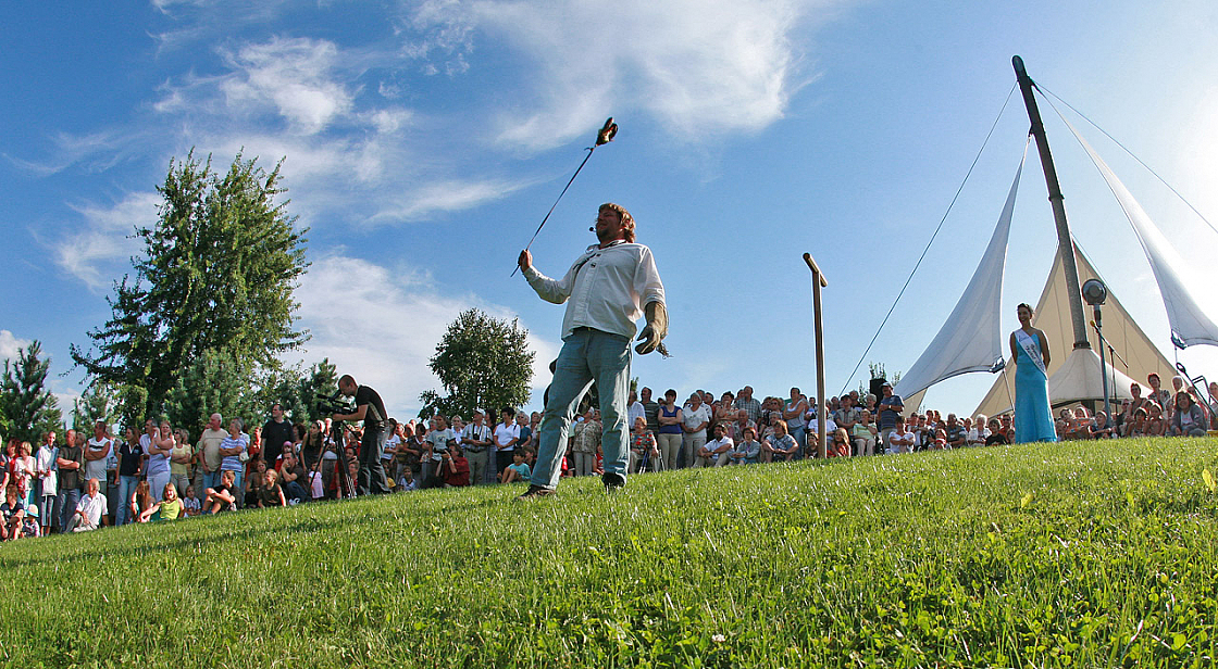 IMG_2761.jpg