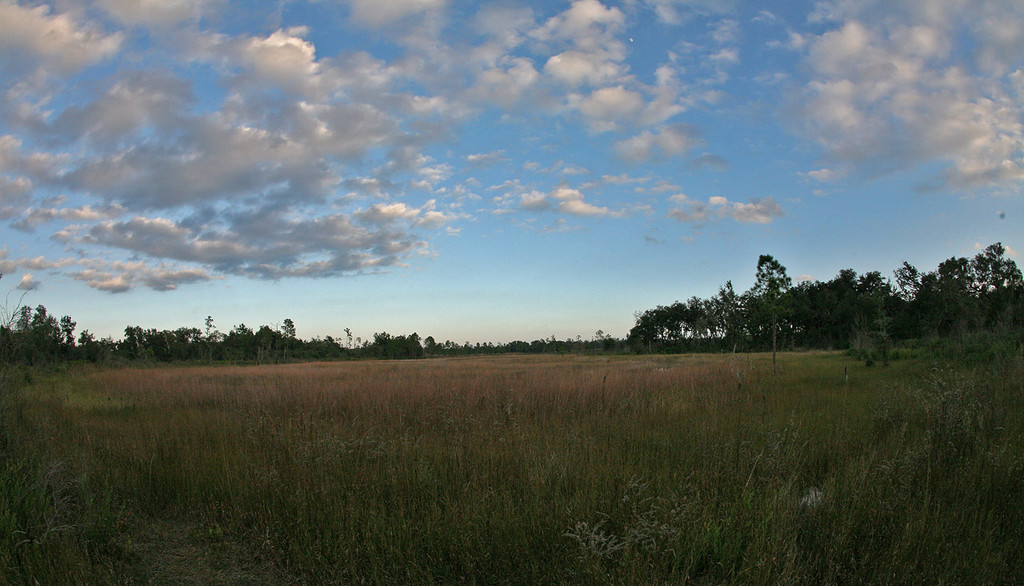 IMG_5475.jpg