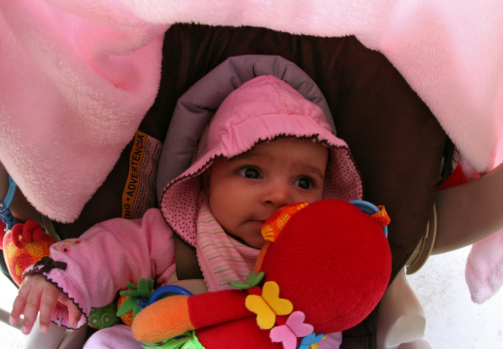 IMG_7586.jpg