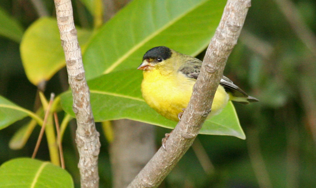 IMG_7717.jpg