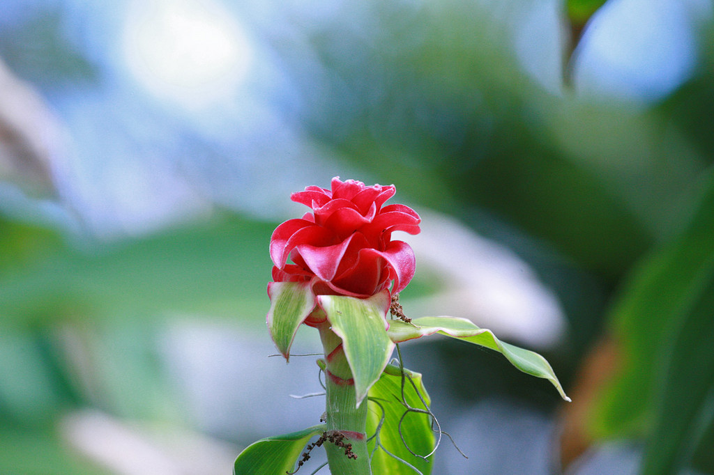IMG_1492.jpg