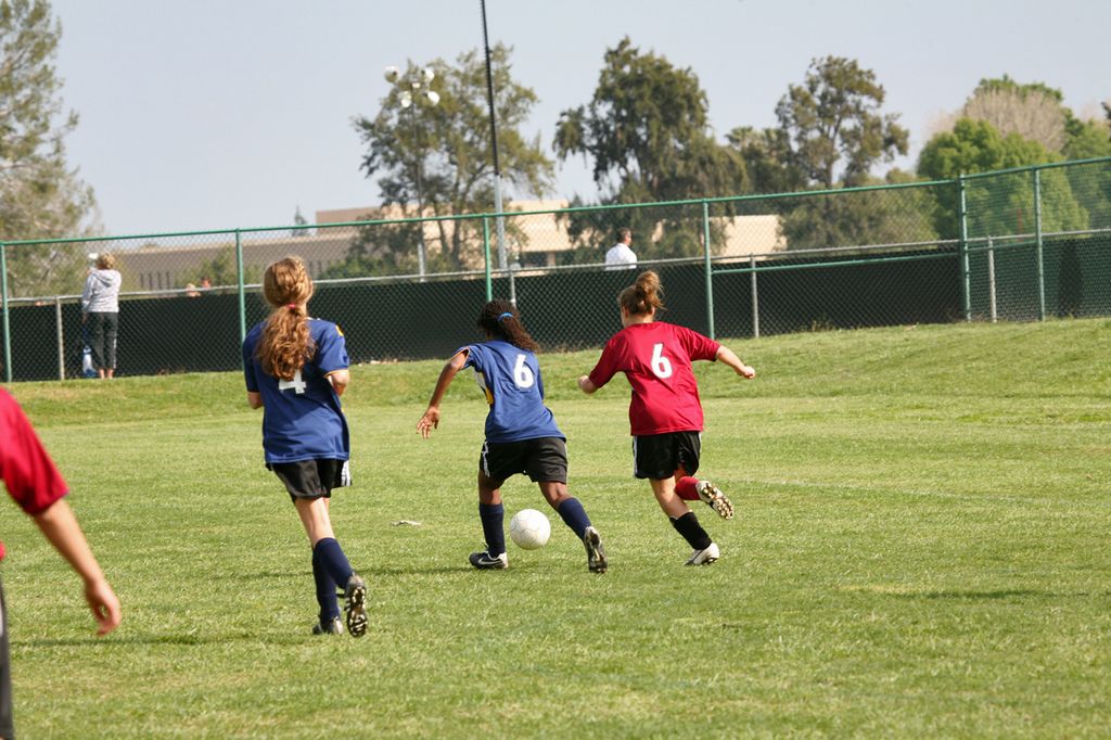 IMG_7988.jpg