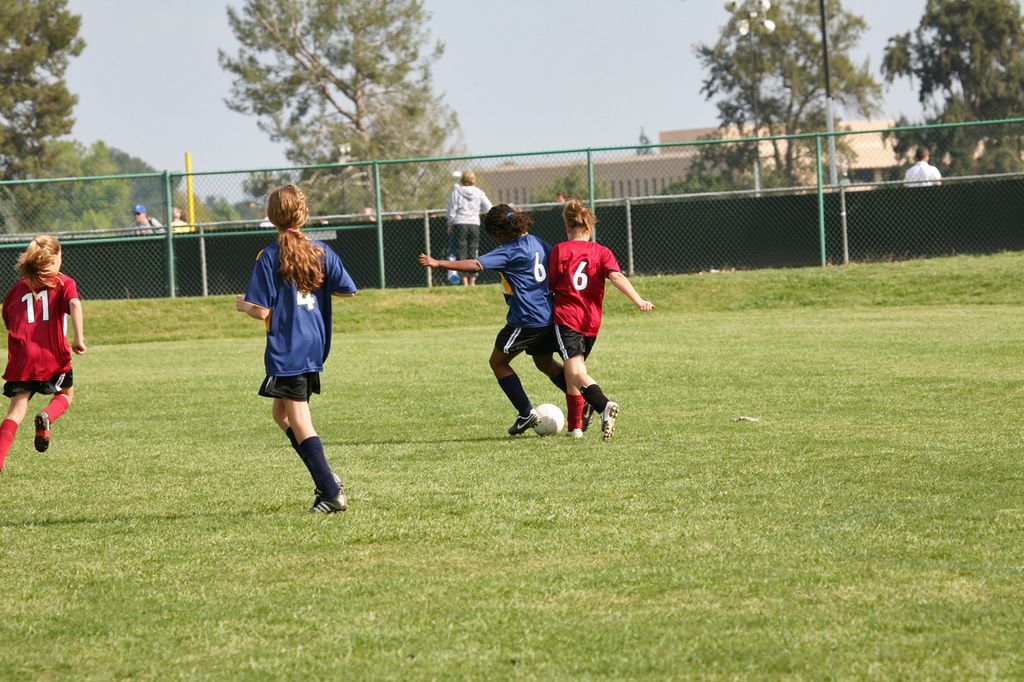 IMG_7991.jpg