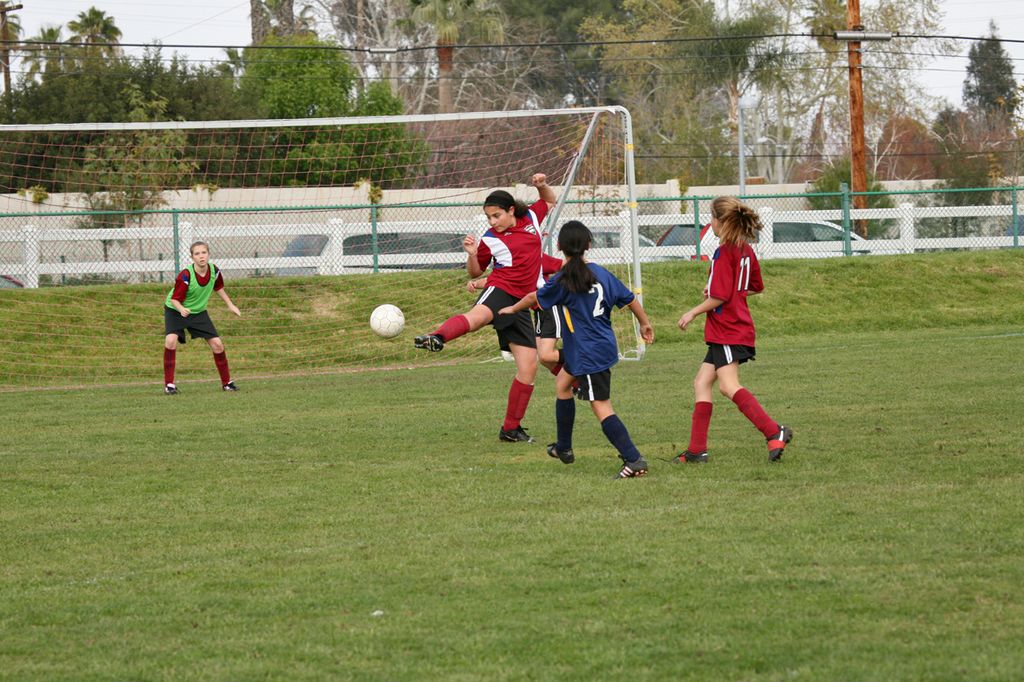 IMG_8231.jpg