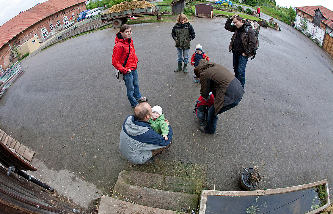 IMG 7105