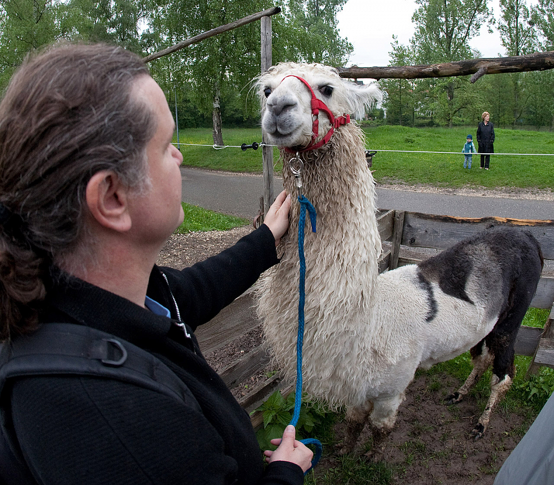 IMG 7191