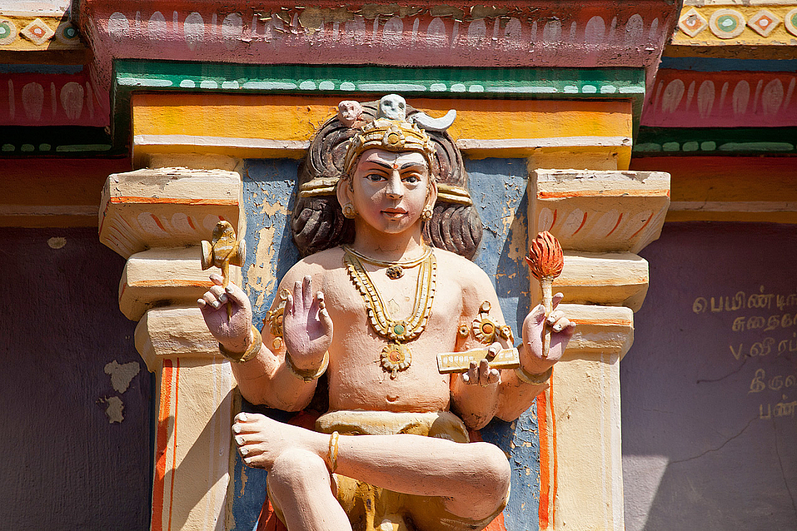 2011-01-09 11-22-10 IMG 6820