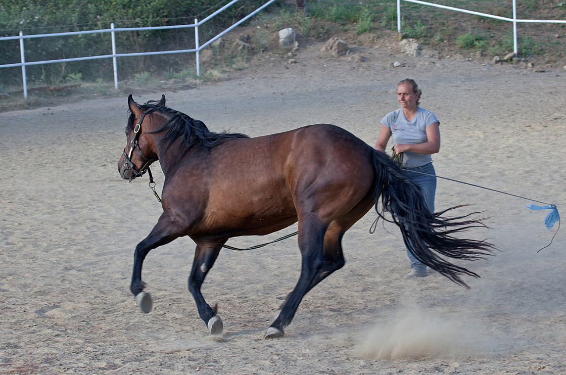 20110618184434 3447