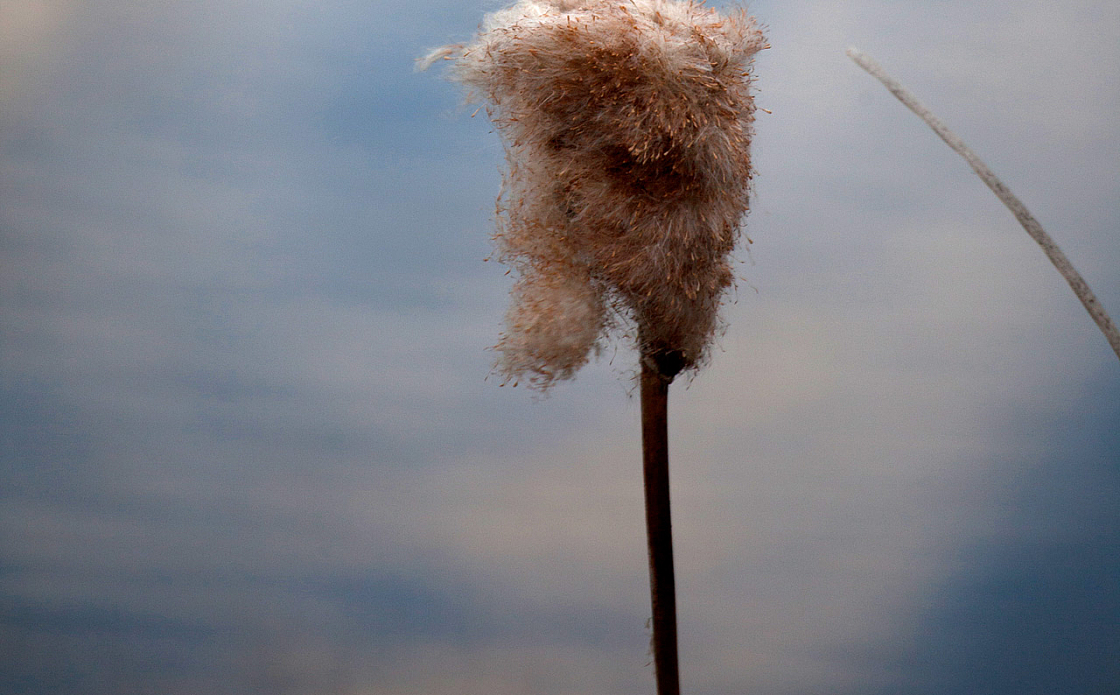 20120104151525 5234