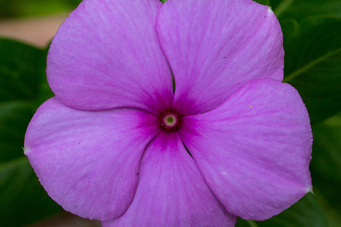 20130123110538 26391
