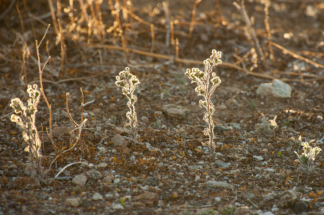 20120310191136 4540