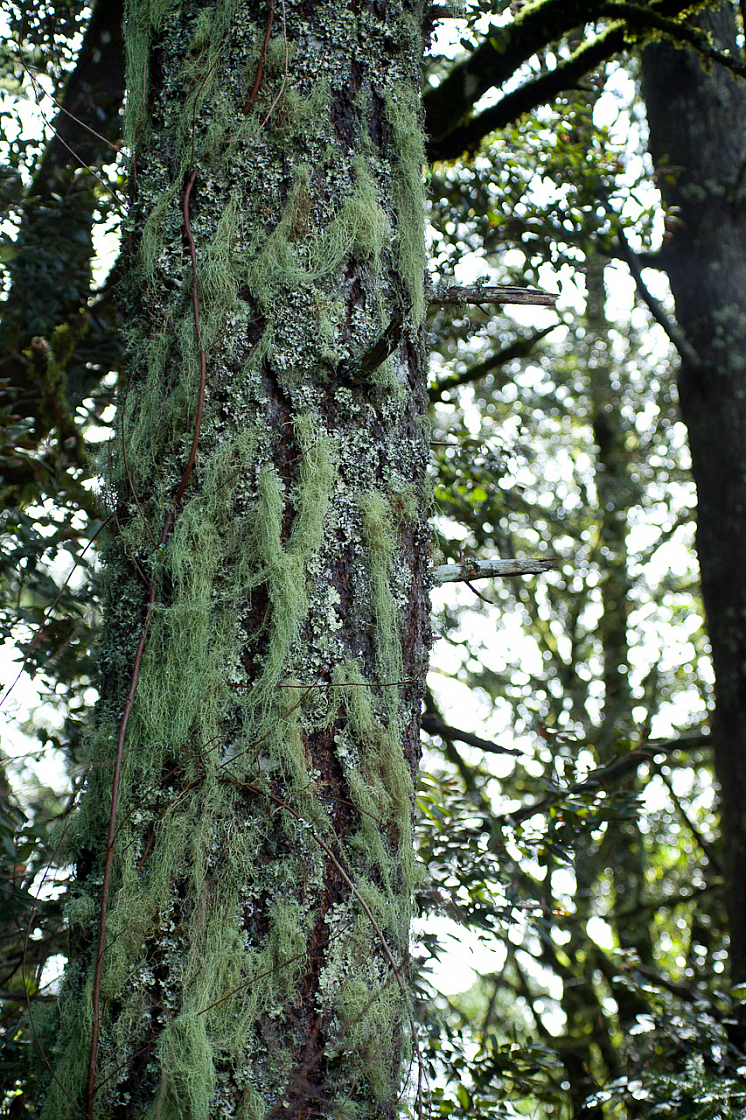 20120328152040 7854