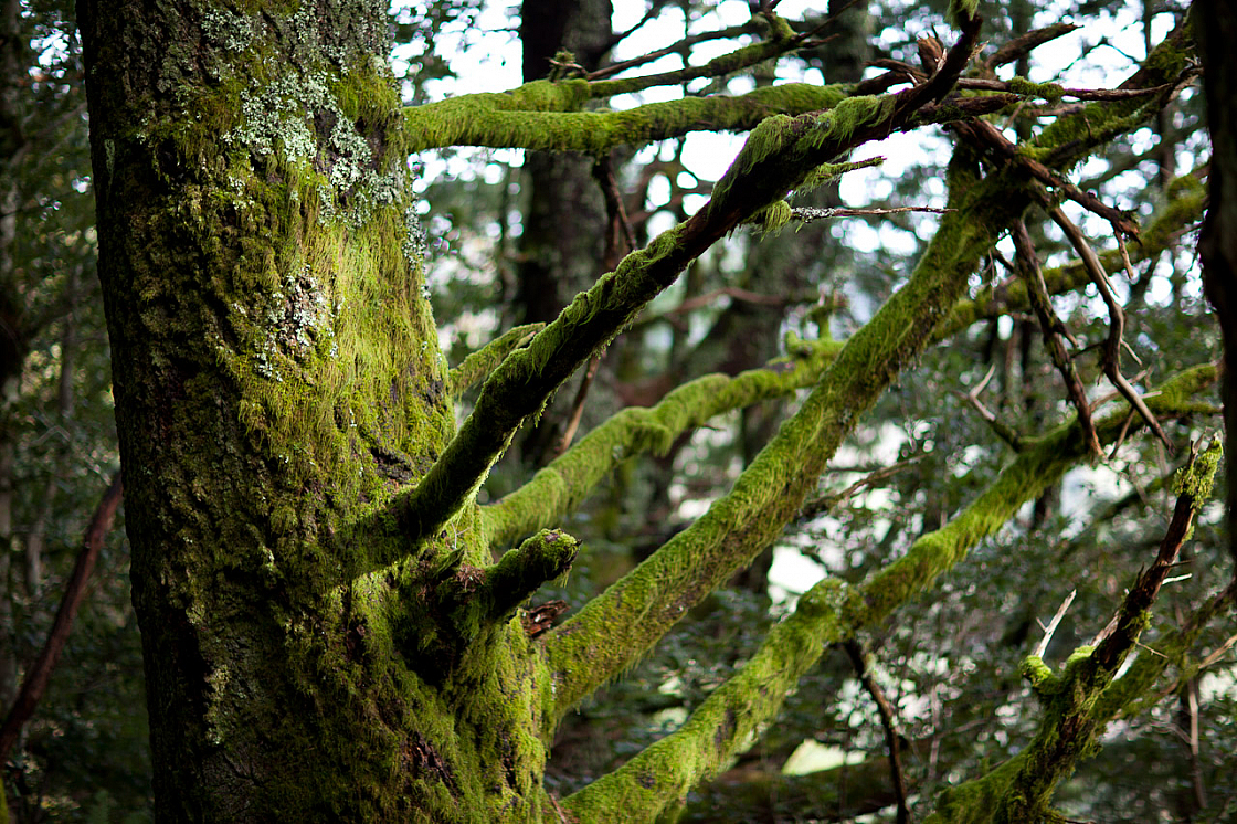 20120328174428 8069