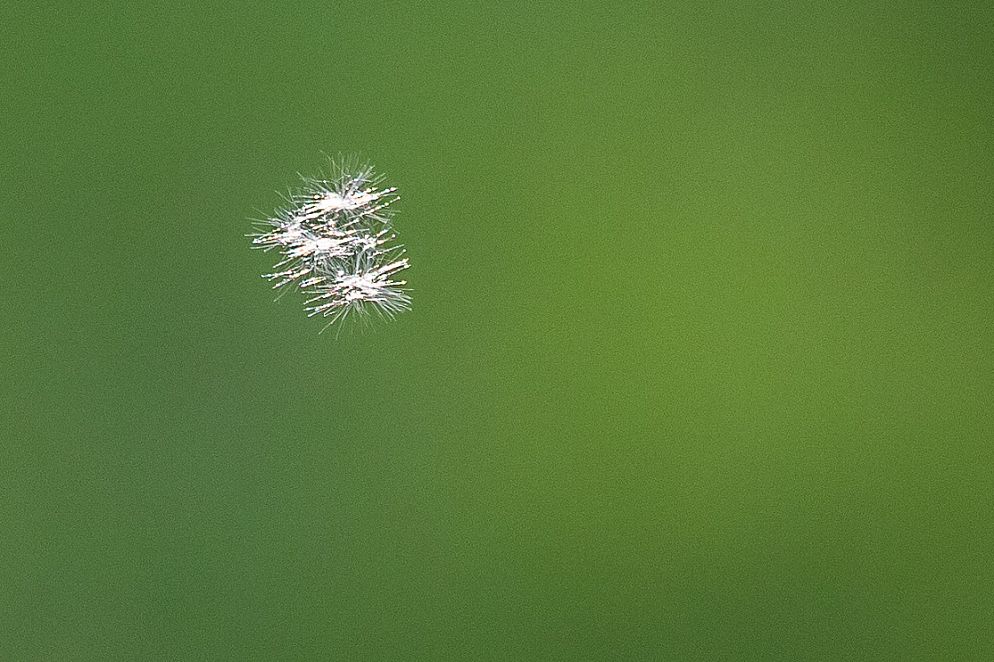 20130511195914 27023