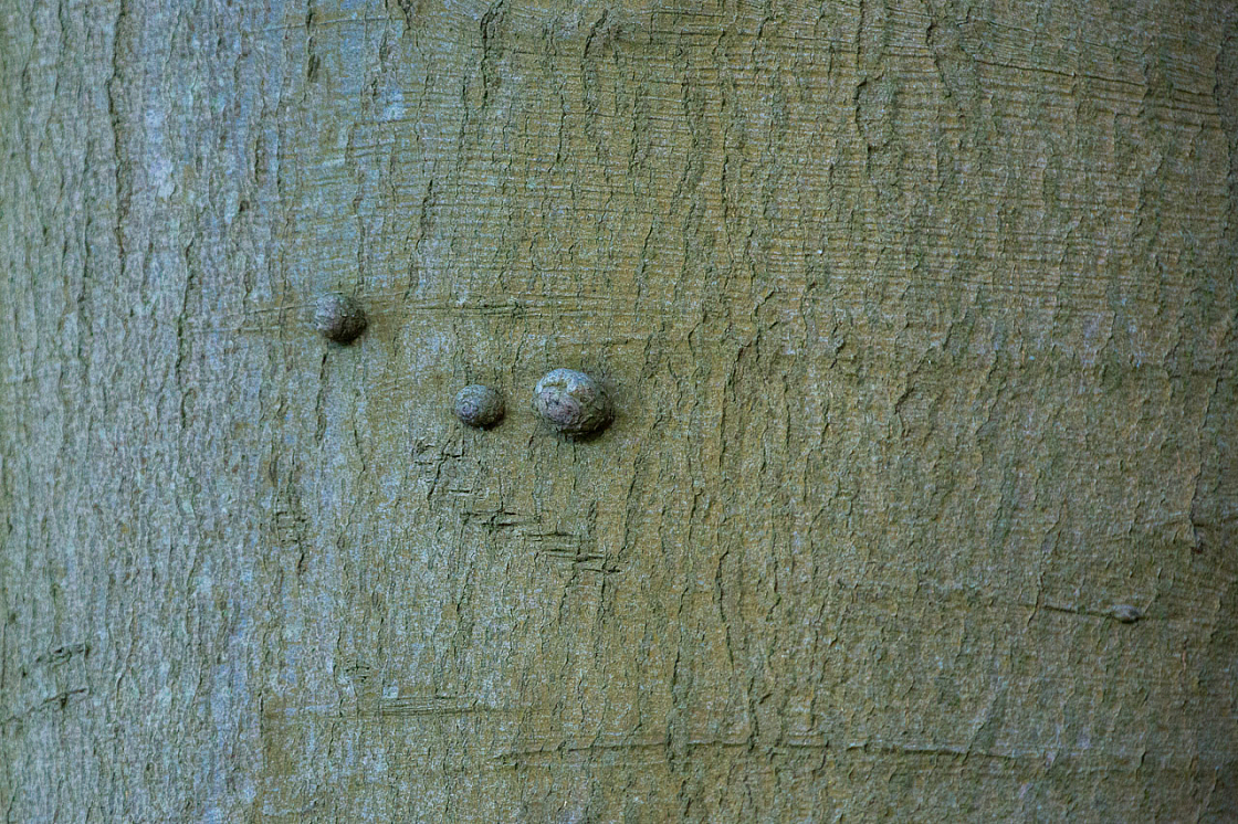 20130615193421 29551