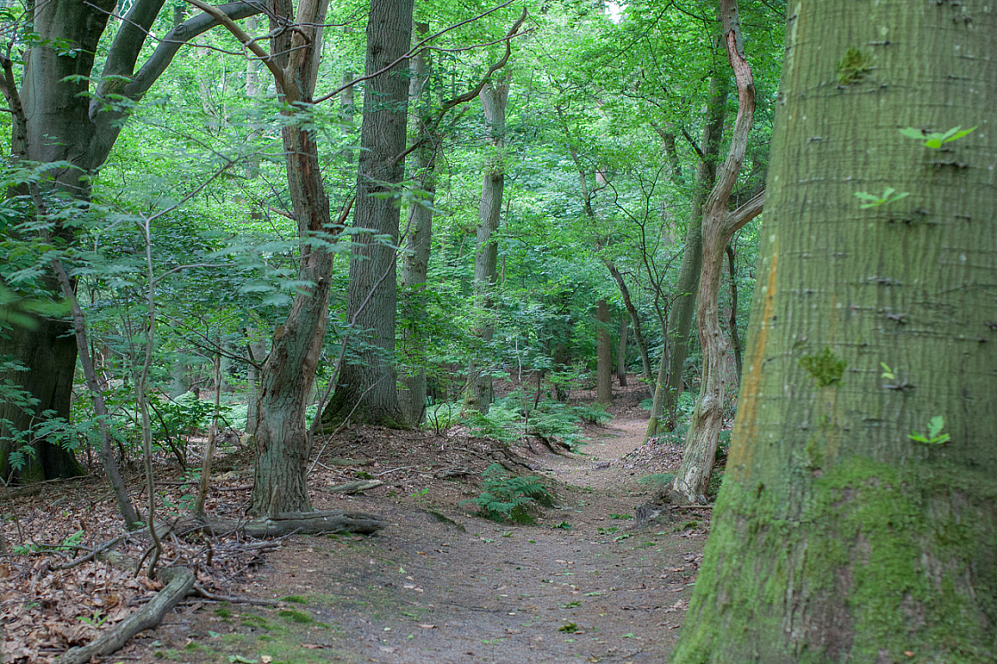 20130618192651 8115
