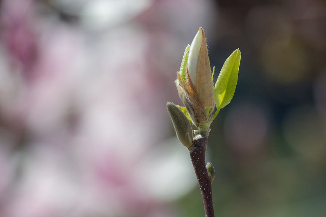 20130418124059 20939