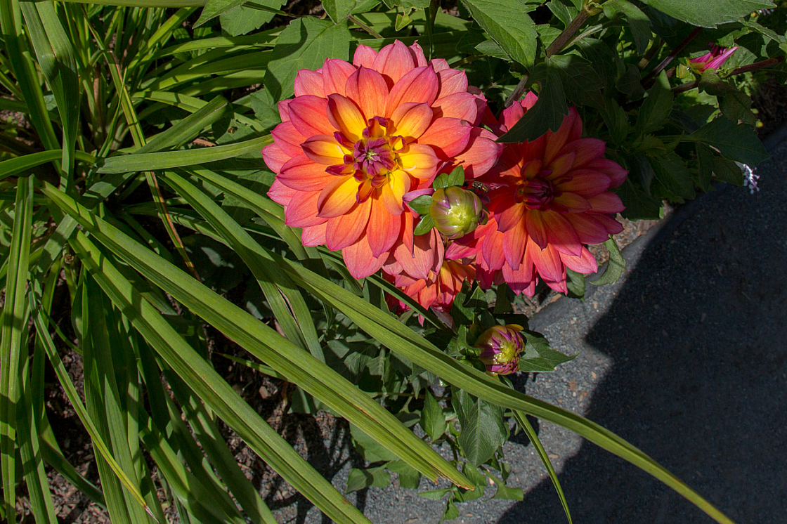 20130811145449 20592