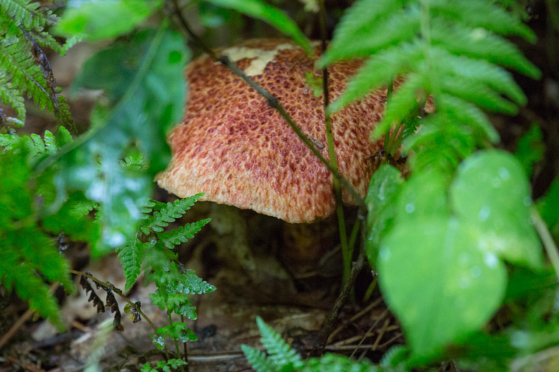 20130809165410 28992