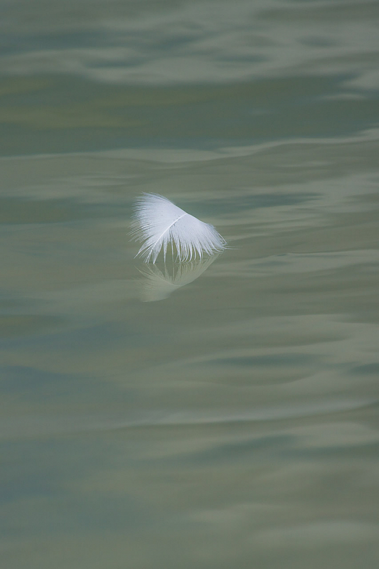 20130805161039 28381