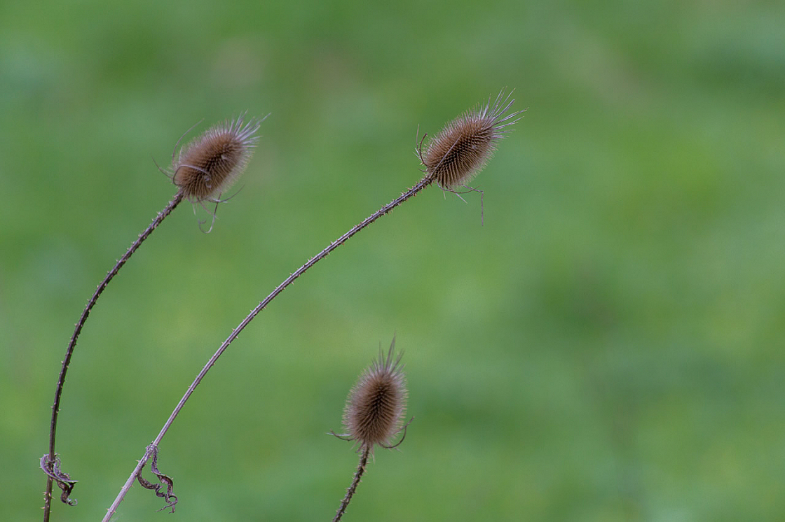 20130428165442 24970