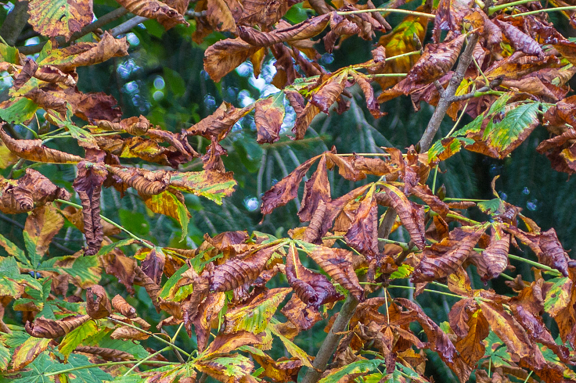 20131014085814 27333