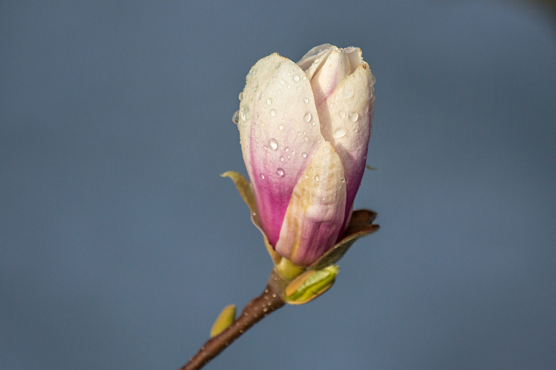 20140325083830 55243