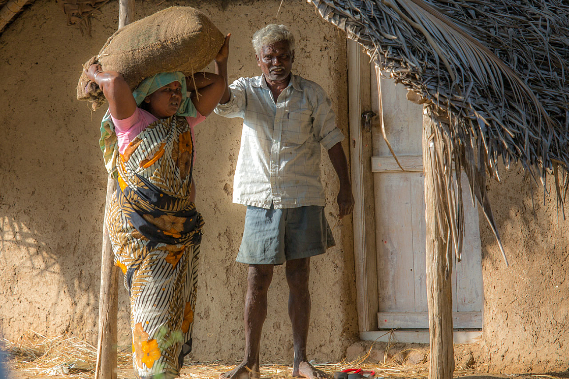06 pongal 20140115160332 40926