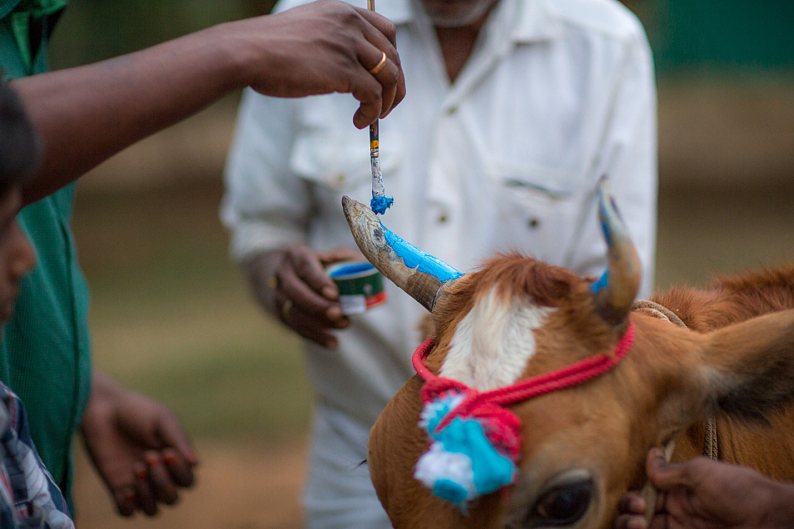 20140117181308 42698