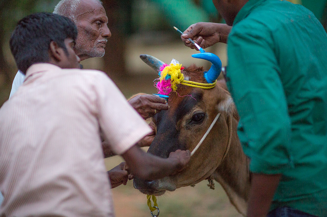 20140117181920 42783