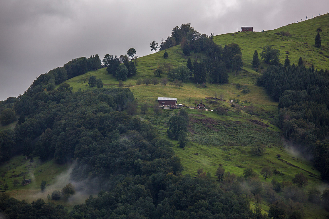 20140826170812 69727