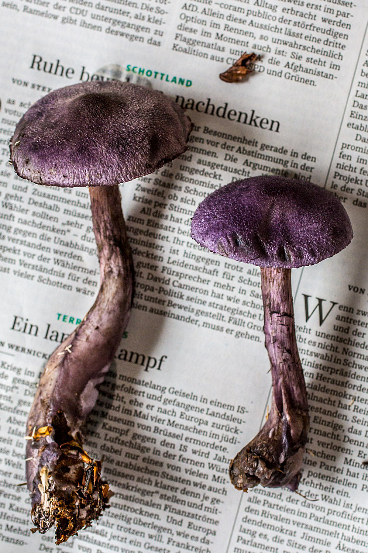 20140921125858 71546