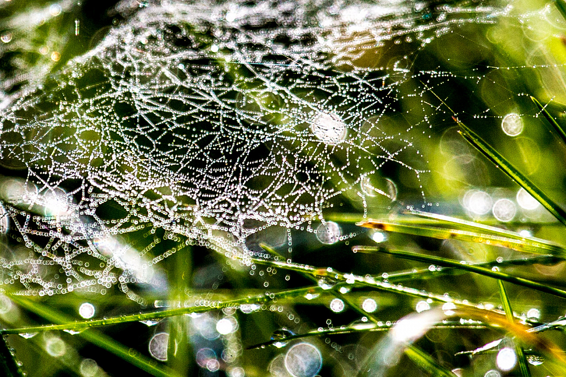 20140924092436 71727-2