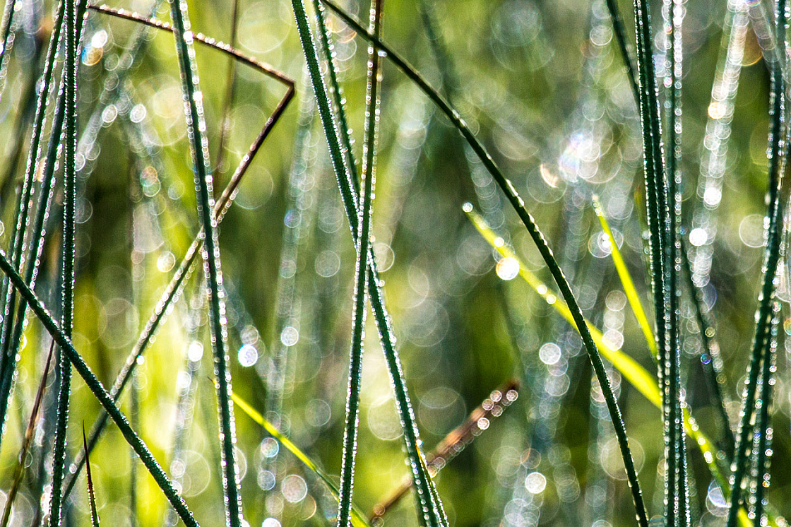 20140924092545 71746