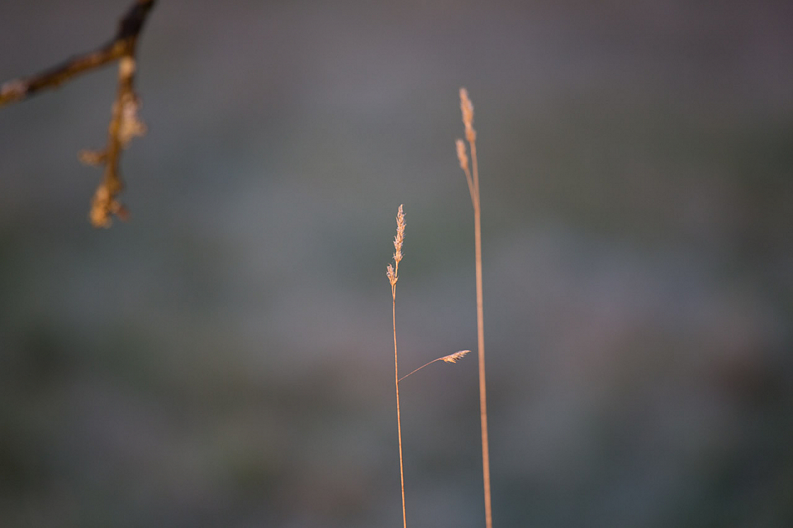 20140217172648 53801