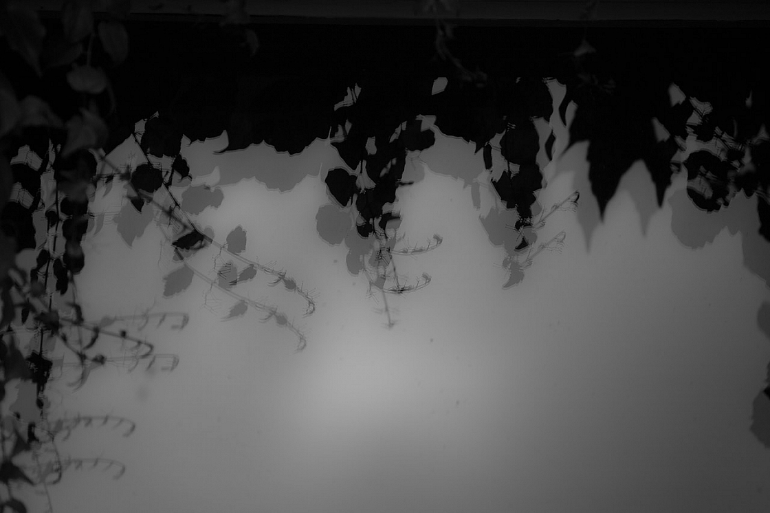20150802163222 92871 1280px