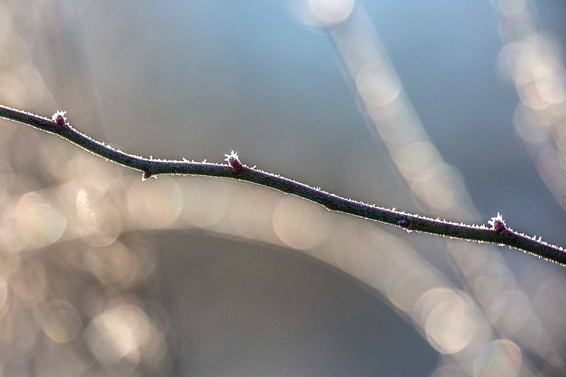 20150211090107 85004 1280px