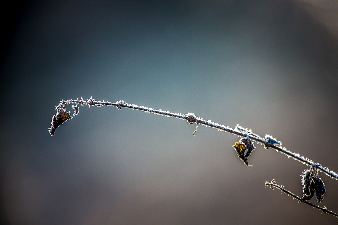 20150211090122 85008 1280px